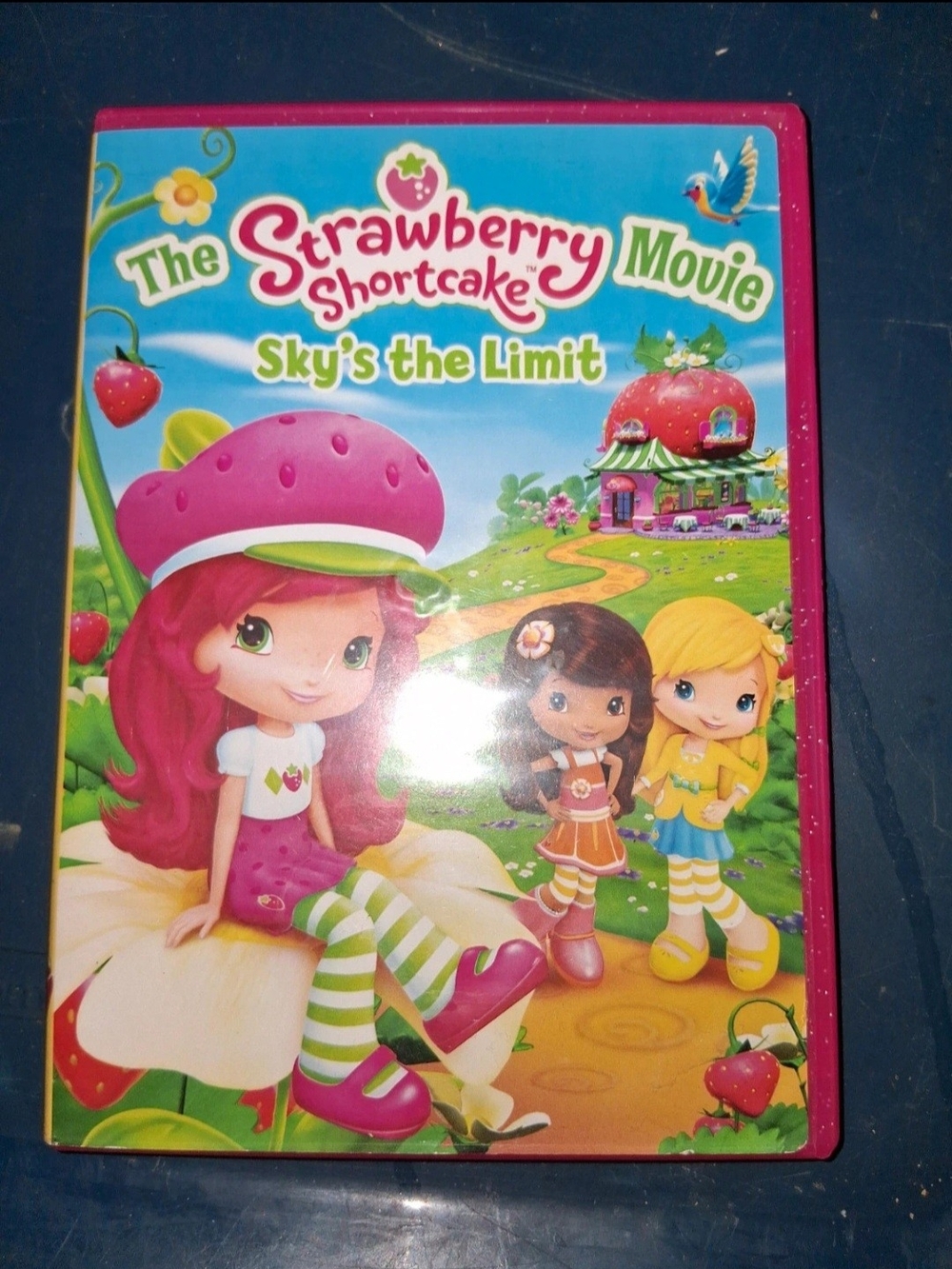 Kids Movie - Pink Cover - Sky's the Limit